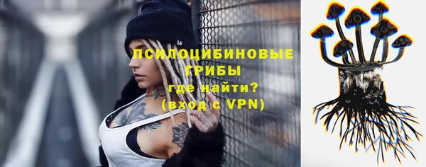 крисы Балахна