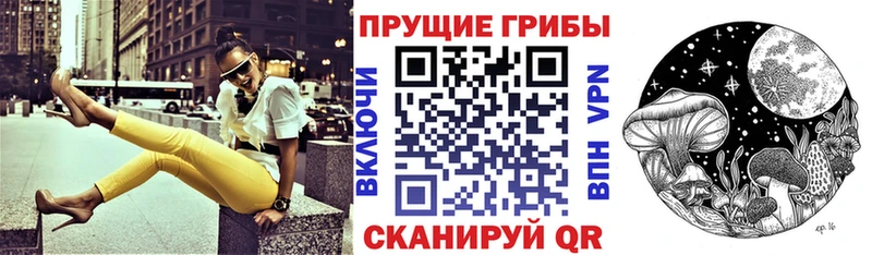 Псилоцибиновые грибы MAGIC MUSHROOMS  дарнет шоп  Вышний Волочёк 